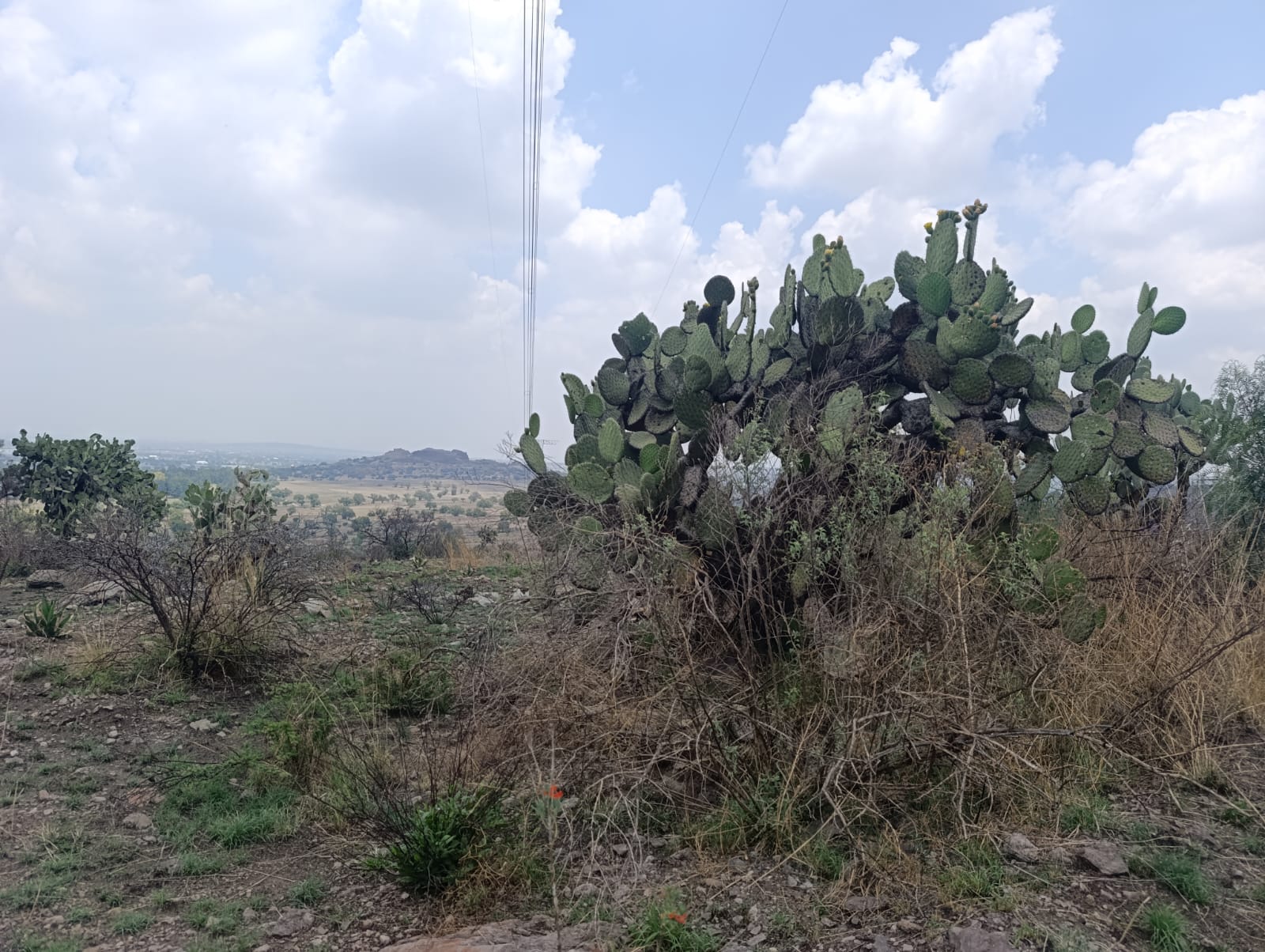 Rodada 3 de Mayo